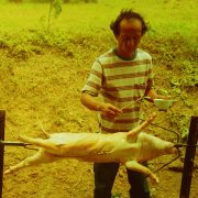 1993 THAILAND Country Life